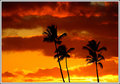 Fire in the Sky 