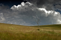 solitude