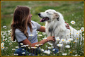 Puppy Love