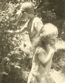 Berry Picking