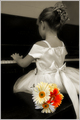 Cultivating Flowers