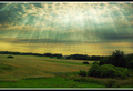 The Plains
