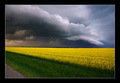 Thunder Storm