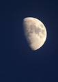 Moon at Dusk (Waxing Gibbous)