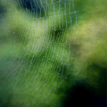 Webs of Significance
