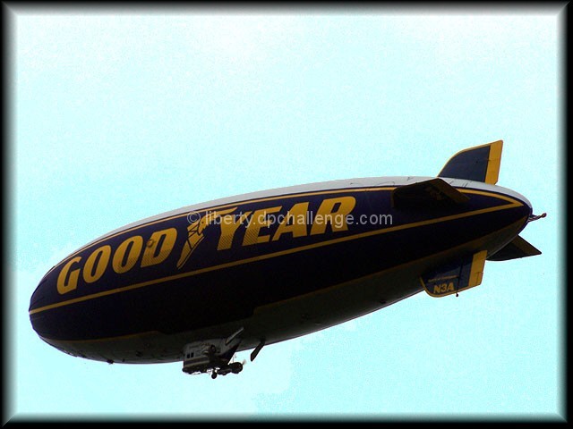 It's A Bird, It's A Plane......