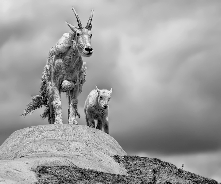 The Summit