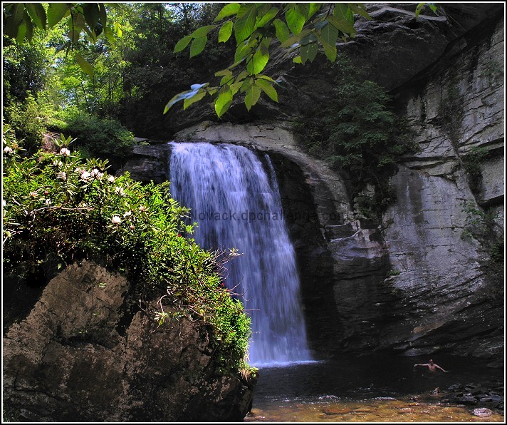 The Flow Of Life - Looking Glass Falls