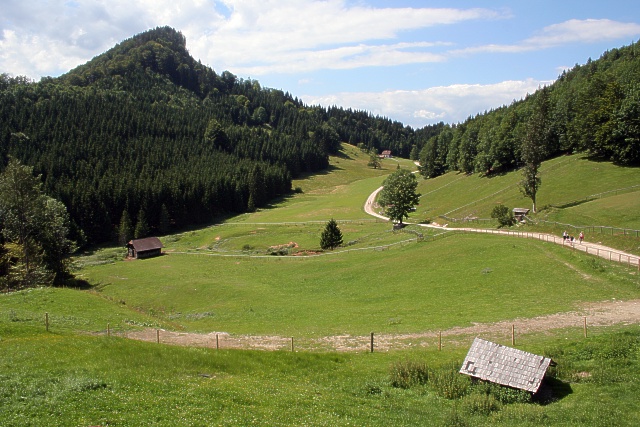 Mountain fields