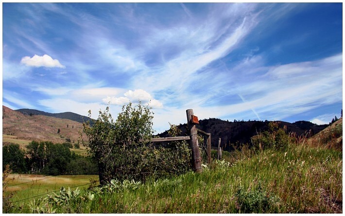 Summer Day in the Mountains