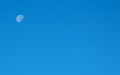 Blue Sky Moon