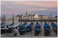 Picnic dinner in Venezia