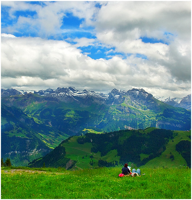 Swiss Dreams Are Made of These