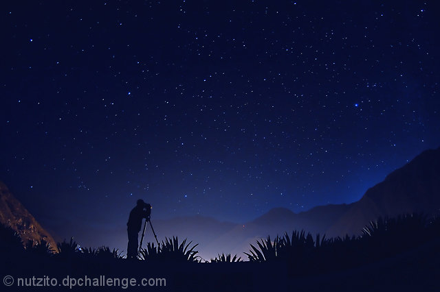 Photographer's Dream