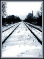 The Tracks