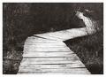 Walk This Way