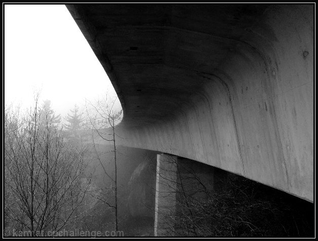 Into the Mist