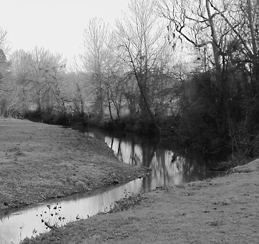 Reflections on a Canal