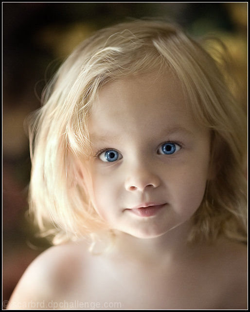 Portrait By Window Light