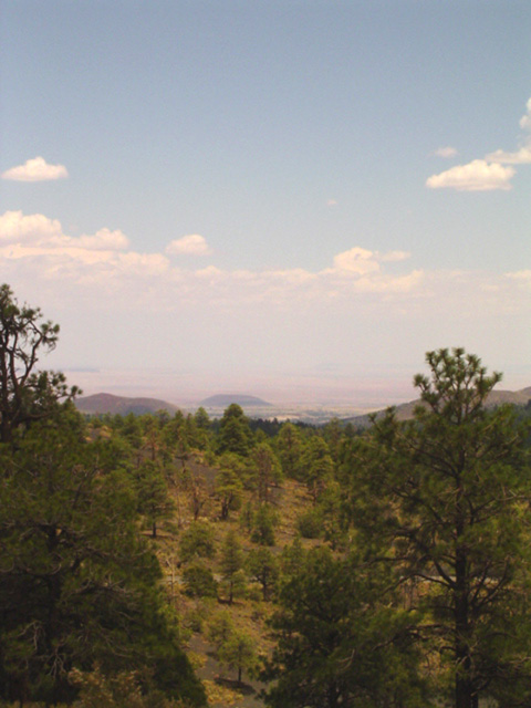 Skyline and the painted desert in the distance