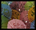 Following  Geisha 