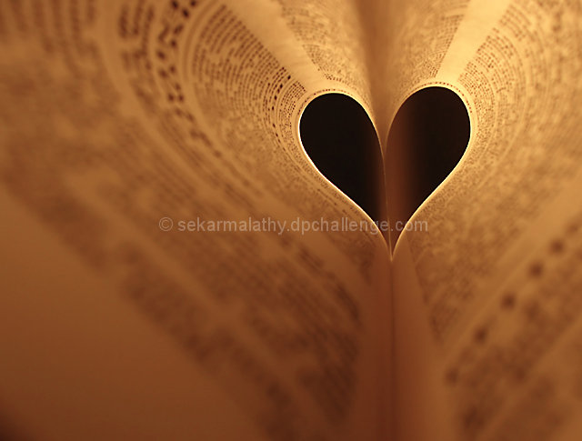 I Love Reading