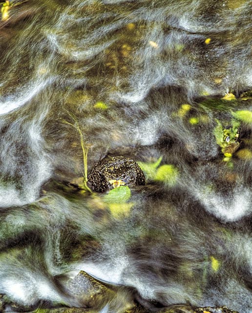 Rythm of Water