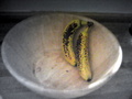 you may be rich, you may be poor its still life