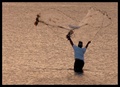 casting his net