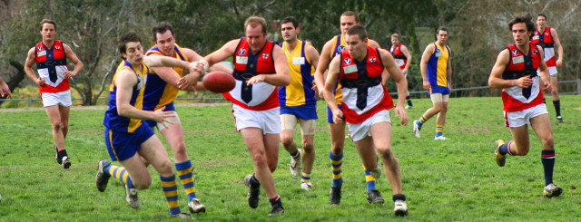 In pursuit at the local footy oval