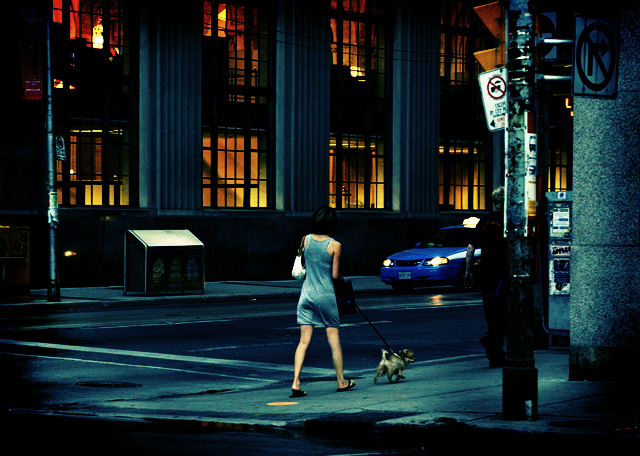 Evening Stroll