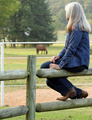 Sittin' On A Fence