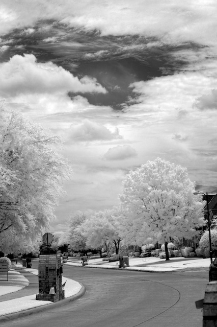 Winter