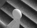Humpty Dumpty on the wall