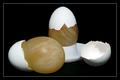 Naked eggs (raw eggs disolved in vinegar)