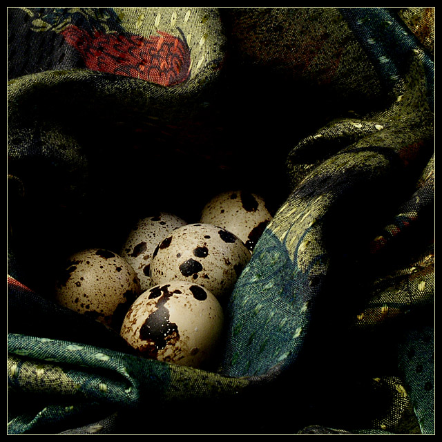 Still life with quail eggs