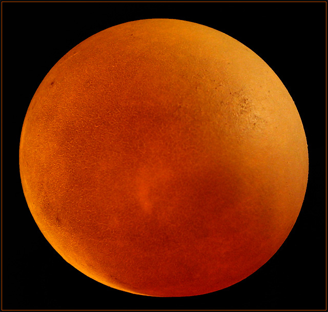 Harvest Moon, In Egg