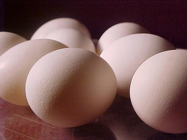Eggsellent