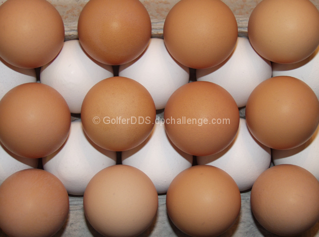 Brown and White (Eggs)