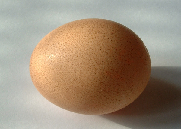 egg | white