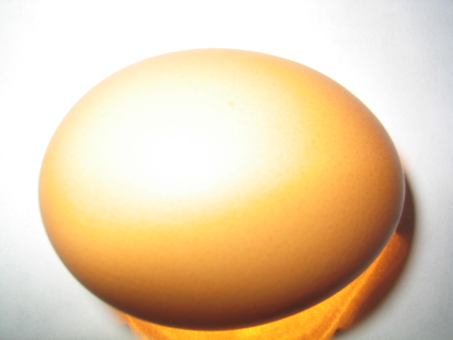 EGGCLIPSE