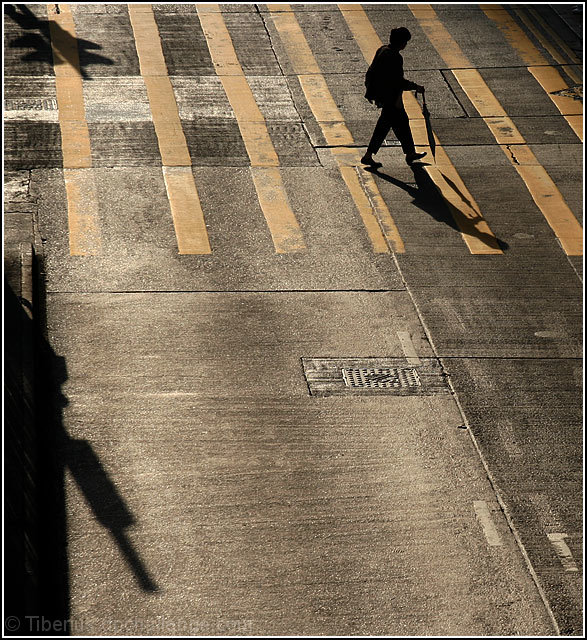 Walker