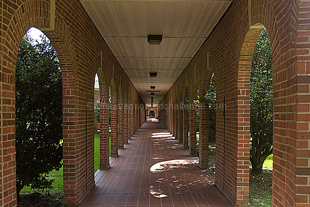 Campus Shadows