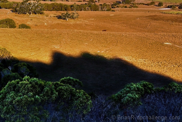 Shadow Painting