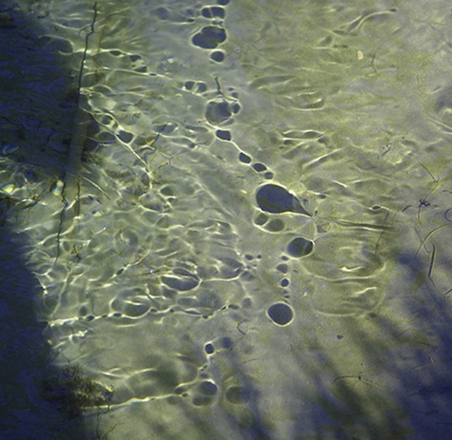 River shadows