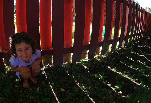 Natural Neon Fence