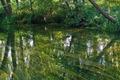 Striped Reflections
