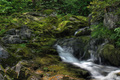 White Stream in Green