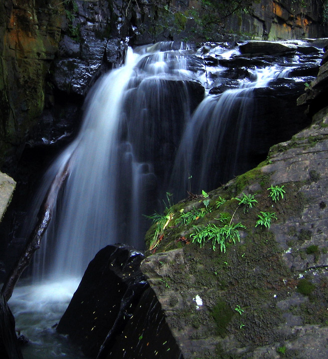 Cascade