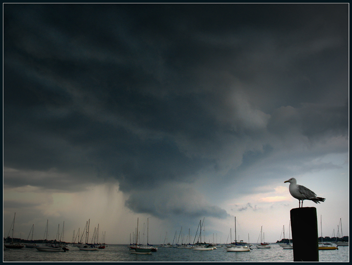 Storm Front